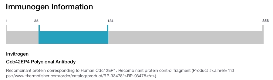 Cdc42EP4 Polyclonal Antibody