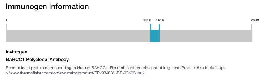 BAHCC1 Polyclonal Antibody