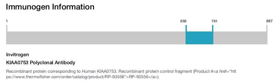 KIAA0753 Polyclonal Antibody