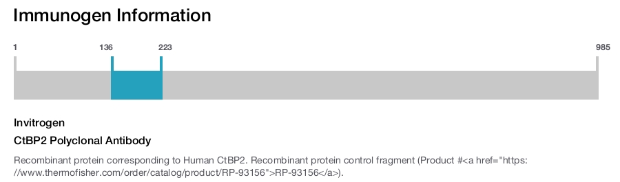 CtBP2 Polyclonal Antibody