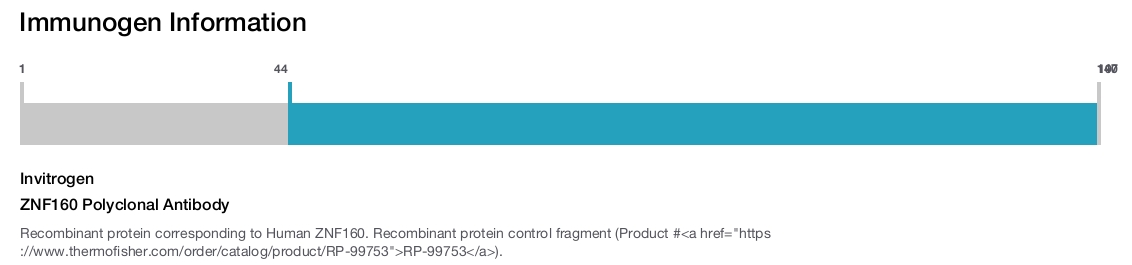 ZNF160 Polyclonal Antibody
