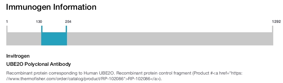 UBE2O Polyclonal Antibody