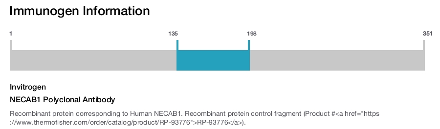 NECAB1 Polyclonal Antibody