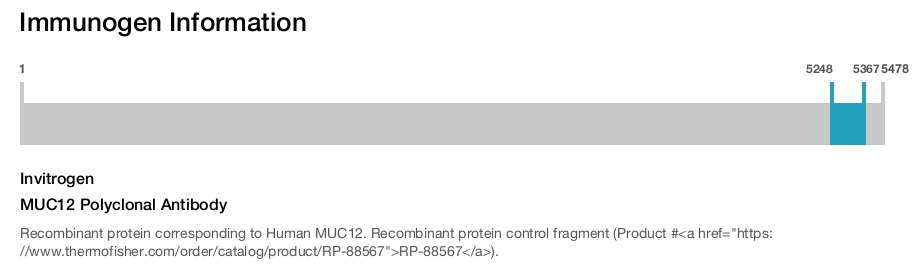 MUC12 Polyclonal Antibody