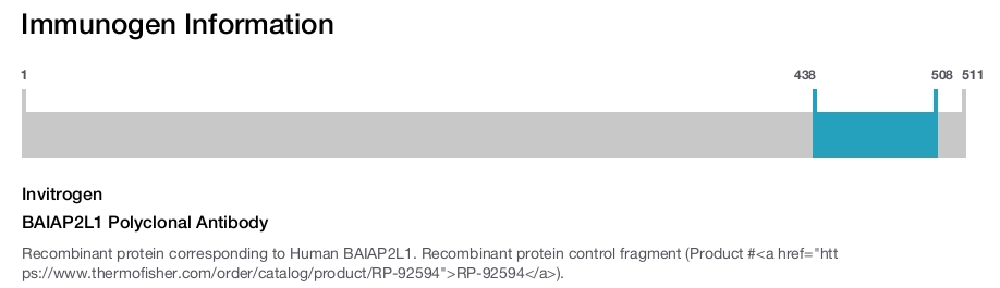BAIAP2L1 Polyclonal Antibody