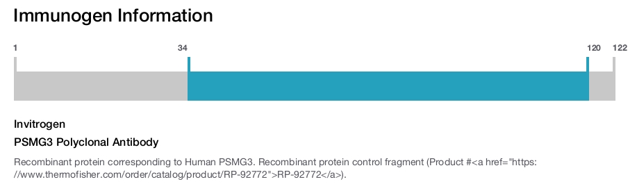 PSMG3 Polyclonal Antibody