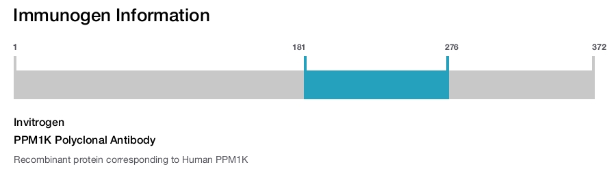PPM1K Polyclonal Antibody