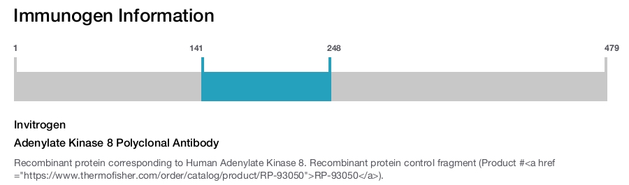 Adenylate Kinase 8 Polyclonal Antibody