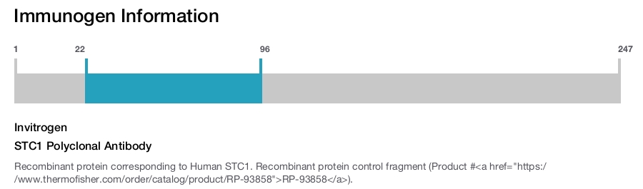 STC1 Polyclonal Antibody