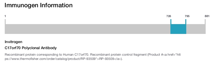C17orf70 Polyclonal Antibody