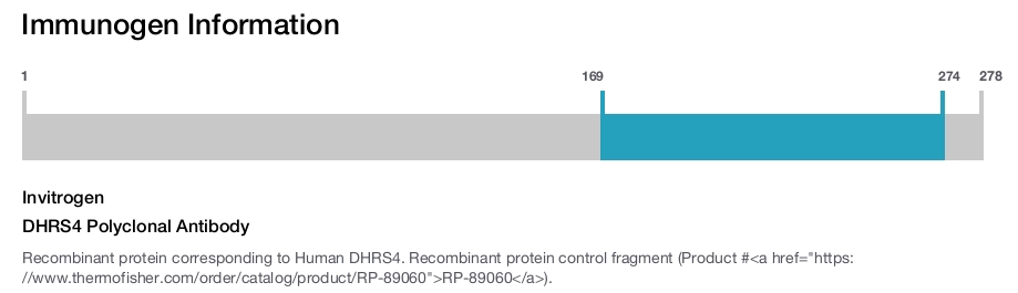 DHRS4 Polyclonal Antibody