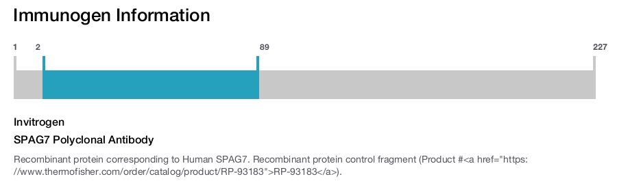 SPAG7 Polyclonal Antibody