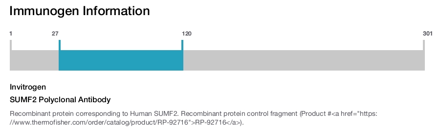 SUMF2 Polyclonal Antibody