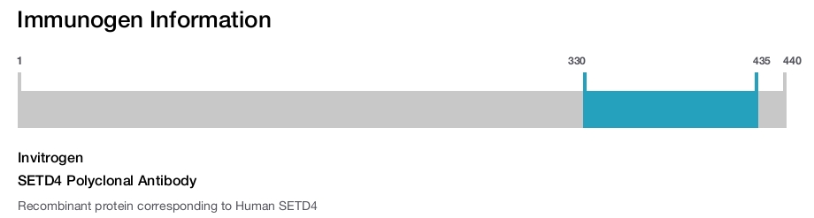 SETD4 Polyclonal Antibody