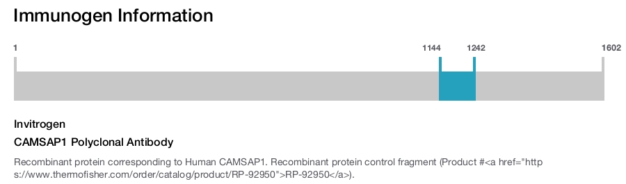 CAMSAP1 Polyclonal Antibody