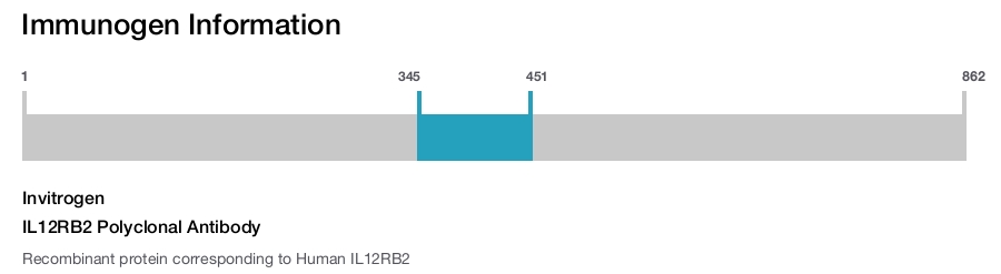 IL12RB2 Polyclonal Antibody