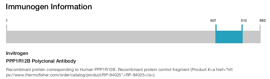 PPP1R12B Polyclonal Antibody