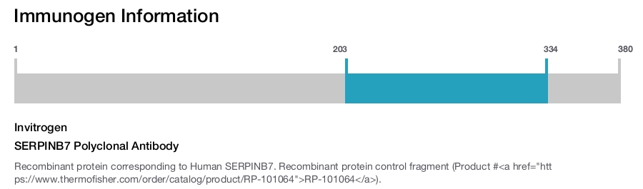 SERPINB7 Polyclonal Antibody