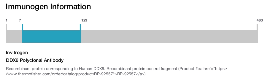 DDX6 Polyclonal Antibody