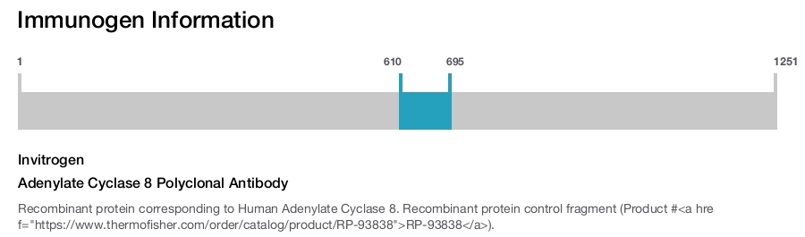 Adenylate Cyclase 8 Polyclonal Antibody