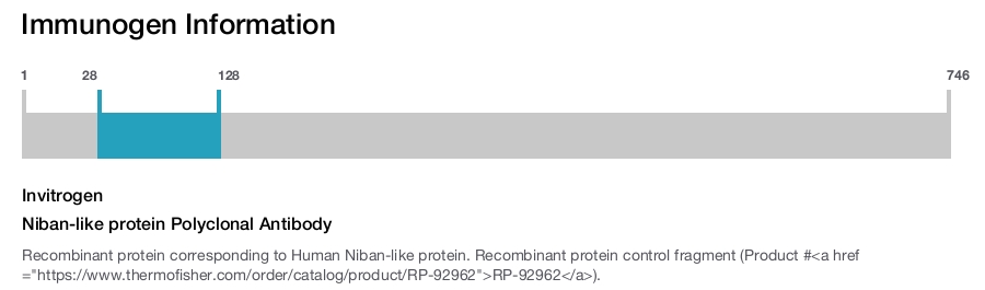 Niban-like protein Polyclonal Antibody