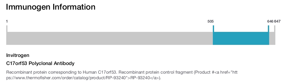 C17orf53 Polyclonal Antibody