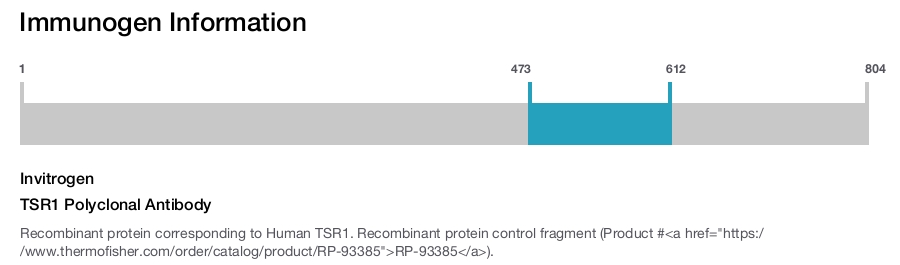 TSR1 Polyclonal Antibody