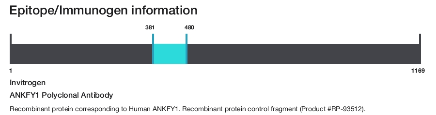 ANKFY1 Polyclonal Antibody