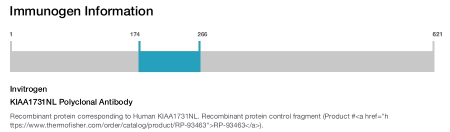 KIAA1731NL Polyclonal Antibody