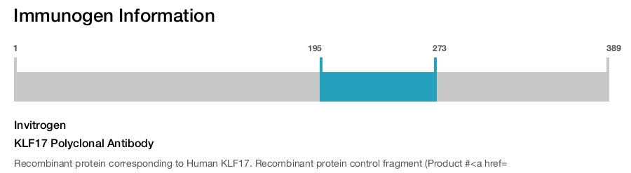 KLF17 Polyclonal Antibody