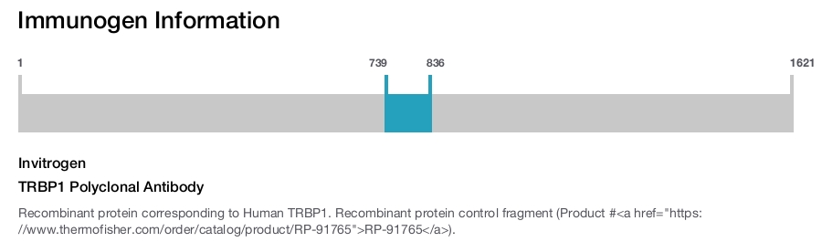 TRBP1 Polyclonal Antibody