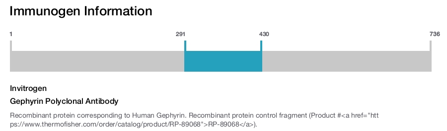 Gephyrin Polyclonal Antibody