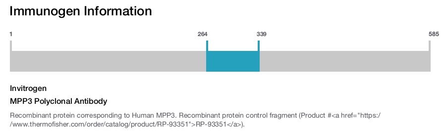 MPP3 Polyclonal Antibody