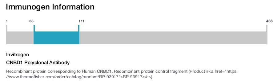 CNBD1 Polyclonal Antibody