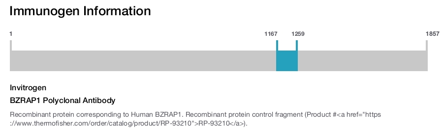 BZRAP1 Polyclonal Antibody