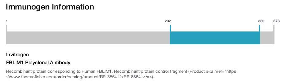 FBLIM1 Polyclonal Antibody