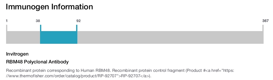 RBM48 Polyclonal Antibody