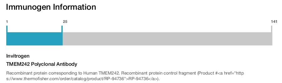 TMEM242 Polyclonal Antibody