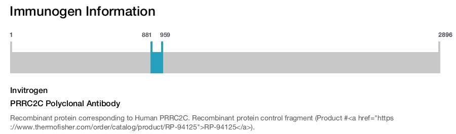 PRRC2C Polyclonal Antibody
