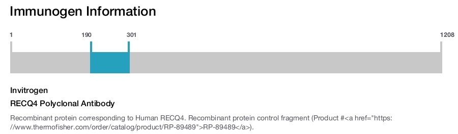 RECQ4 Polyclonal Antibody