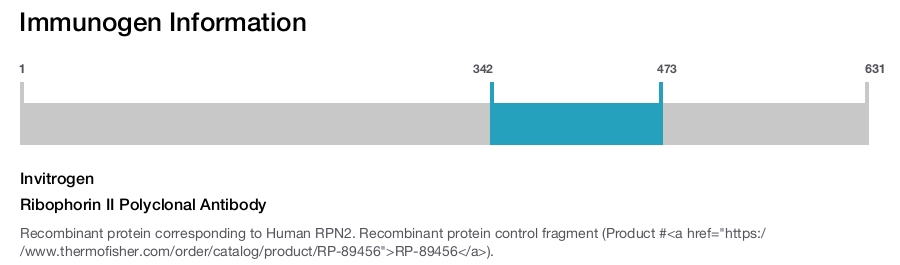 Ribophorin II Polyclonal Antibody