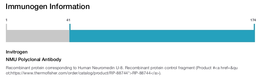 NMU Polyclonal Antibody
