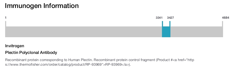 Plectin Polyclonal Antibody