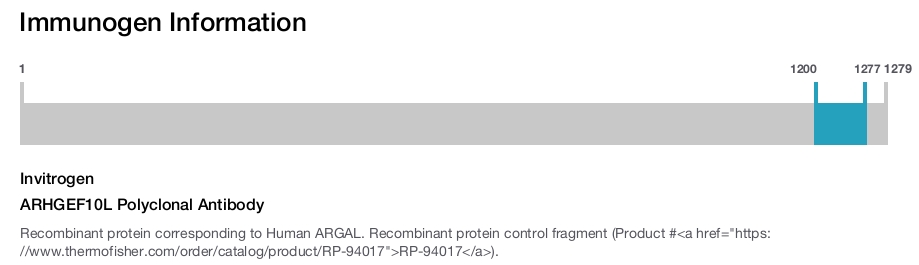 ARHGEF10L Polyclonal Antibody