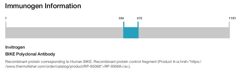 BIKE Polyclonal Antibody