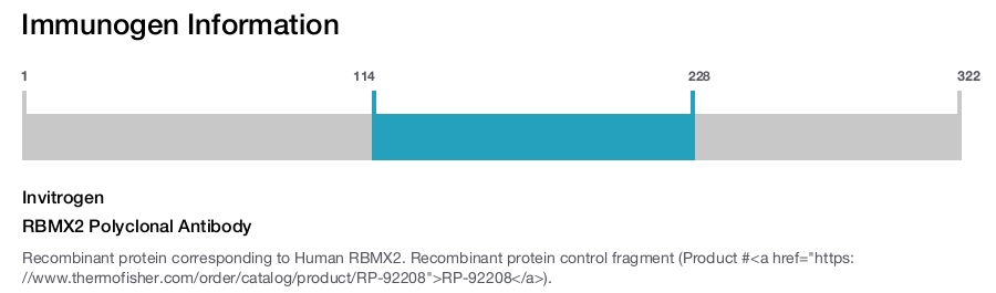 RBMX2 Polyclonal Antibody