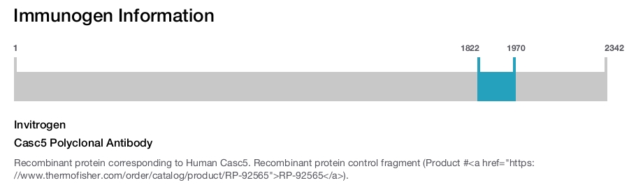 Casc5 Polyclonal Antibody