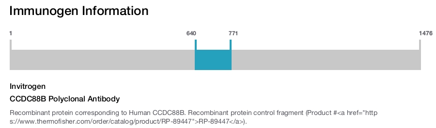 CCDC88B Polyclonal Antibody