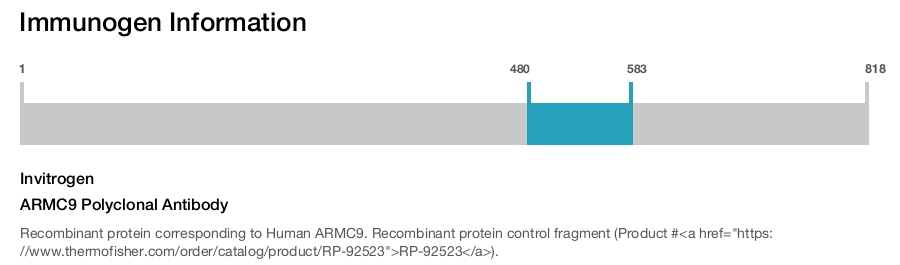 ARMC9 Polyclonal Antibody
