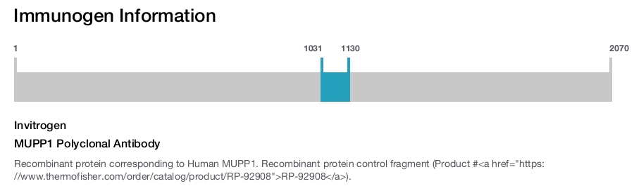 MUPP1 Polyclonal Antibody